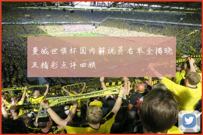 曼城世俱杯国内解说员名单全揭晓及精彩点评回顾